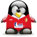 Penguin pingouin pinguino 755